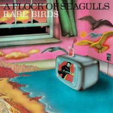 A FLOCK OF SEAGULLS - RARE BIRDS 2023 (BMGCAT622LP, LTD, Record Store Day) BMG/GER. MINT